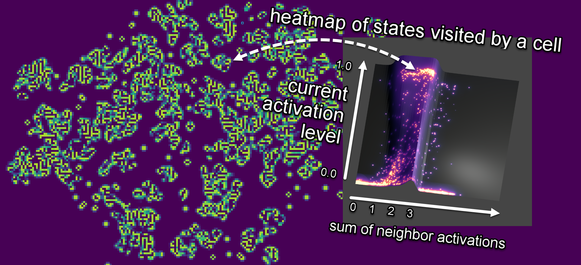 Neural Cellular Automata Writeup | xrcyz